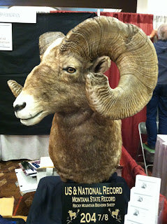 2013+Wild+Sheep+Foundation+Sheep+Show+and+Convention+Pics+and+updates+from+Reno,+NV+with+Colburn+and+Scott+Outfitters+4.JPG