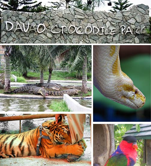 Davao Crocodile Park KeepCalmAndVisitDavao
