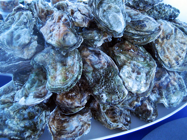 Swale Estuary Oysters