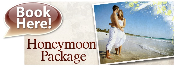 Honeymoon Packages India