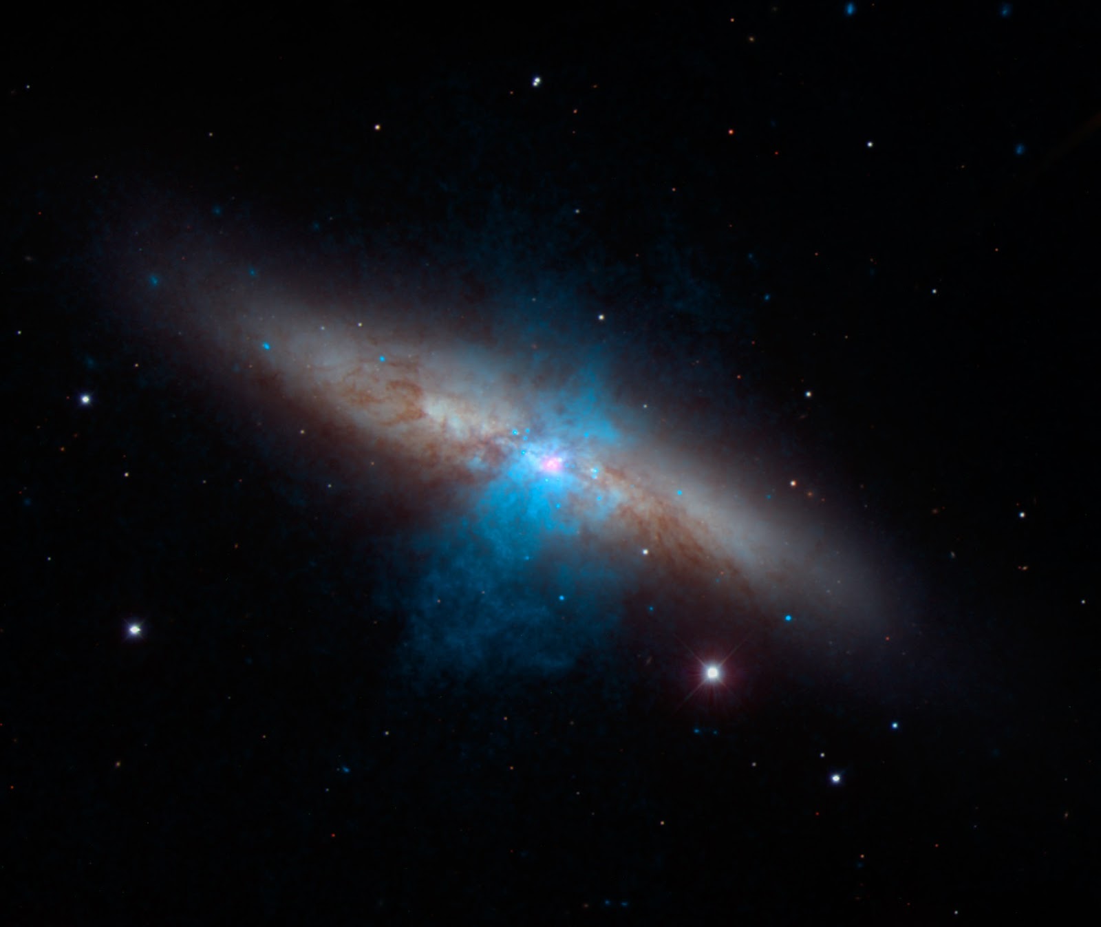 NASA’s NuSTAR Telescope Discovers Shockingly Bright Dead Star NASA’s NuSTAR Telescope Discovers Shockingly Bright Dead Star   Astronomers have found a pulsating, dead star beaming with the energy of about 10 million suns. This is the brightest pulsar – a dense stellar remnant left over from a supernova explosion – ever recorded. The discovery was made with NASA's Nuclear Spectroscopic Telescope Array, or NuSTAR.  "You might think of this pulsar as the 'Mighty Mouse' of stellar remnants," said Fiona Harrison, the NuSTAR principal investigator at the California Institute of Technology in Pasadena, California. "It has all the power of a black hole, but with much less mass."  The discovery appears in a new report in the Thursday Oct. 9 issue of the journal Nature.  The surprising find is helping astronomers better understand mysterious sources of blinding X-rays, called ultraluminous X-ray sources (ULXs). Until now, all ULXs were thought to be black holes. The new data from NuSTAR show at least one ULX, about 12 million light-years away in the galaxy Messier 82 (M82), is actually a pulsar.  "The pulsar appears to be eating the equivalent of a black hole diet," said Harrison. "This result will help us understand how black holes gorge and grow so quickly, which is an important event in the formation of galaxies and structures in the universe."  ULXs are generally thought to be black holes feeding off companion stars -- a process called accretion. They also are suspected to be the long-sought after "medium-size" black holes – missing links between smaller, stellar-size black holes and the gargantuan ones that dominate the hearts of most galaxies. But research into the true nature of ULXs continues toward more definitive answers.  NuSTAR did not initially set out to study the two ULXs in M82. Astronomers had been observing a recent supernova in the galaxy when they serendipitously noticed pulses of bright X-rays coming from the ULX known as M82 X-2. Black holes do not pulse, but pulsars do.  Pulsars belong to a class of stars called neutron stars. Like black holes, neutron stars are the burnt-out cores of exploded stars, but puny in mass by comparison. Pulsars send out beams of radiation ranging from radio waves to ultra-high-energy gamma rays. As the star spins, these beams intercept Earth like lighthouse beacons, producing a pulsed signal.  "We took it for granted that the powerful ULXs must be massive black holes," said lead study author Matteo Bachetti, of the University of Toulouse in France. "When we first saw the pulsations in the data, we thought they must be from another source."  NASA's Chandra X-ray Observatory and Swift satellite also have monitored M82 to study the same supernova, and confirmed the intense X-rays of M82 X-2 were coming from a pulsar.  "Having a diverse array of telescopes in space means that they can help each other out," said Paul Hertz, director of NASA's astrophysics division in Washington. "When one telescope makes a discovery, others with complementary capabilities can be called in to investigate it at different wavelengths."  The key to NuSTAR's discovery was its sensitivity to high-energy X-rays, as well as its ability to precisely measure the timing of the signals, which allowed astronomers to measure a pulse rate of 1.37 seconds. They also measured its energy output at the equivalent of 10 million suns, or 10 times more than that observed from other X-ray pulsars. This is a big punch for something about the mass of our sun and the size of Pasadena.  How is this puny, dead star radiating so fiercely? Astronomers are not sure, but they say it is likely due to a lavish feast of the cosmic kind. As is the case with black holes, the gravity of a neutron star can pull matter off companion stars. As the matter is dragged onto the neutron star, it heats up and glows with X-rays. If the pulsar is indeed feeding off surrounding matter, it is doing so at such an extreme rate to have theorists scratching their heads.  Astronomers are planning follow-up observations with NASA's NuSTAR, Swift and Chandra spacecraft to find an explanation for the pulsar’s bizarre behavior. The NuSTAR team also will look at more ULXs, meaning they could turn up more pulsars. At this point, it is not clear whether M82 X-2 is an oddball or if more ULXs beat with the pulse of dead stars. NuSTAR, a relatively small telescope, has thrown a big loop into the mystery of black holes.  “In the news recently, we have seen that another source of unusually bright X-rays in the M82 galaxy seems to be a medium-sized black hole," said astronomer Jeanette Gladstone of the University of Alberta, Canada, who is not affiliated with the study. "Now, we find that the second source of bright X-rays in M82 isn’t a black hole at all. This is going to challenge theorists and pave the way for a new understanding of the diversity of these fascinating objects."  Image Credit: NASA/JPL-Caltech Explanation from: http://www.nasa.gov/press/2014/october/nasa-s-nustar-telescope-discovers-shockingly-bright-dead-star/index.html