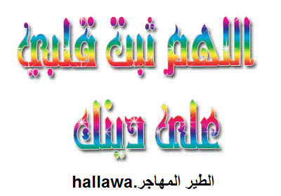 hallawa.blogspot.nl