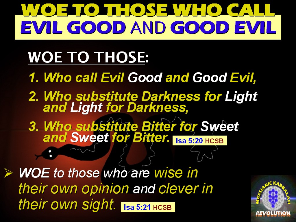 book Hölderlins Hymnen \'Germanien\' und \'Der Rhein\' 1999