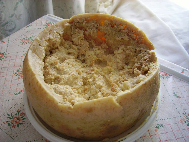 Casu Marzu Casu Marzu
