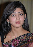 Pranitha, hot, navel, show, in, saree, sexy, photo, galley