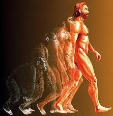 Catatan Pinggir: Apa yang dimaksud dengan "Evolusi?"