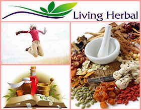 Herbal Medicine | Small Business Ideas