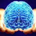 Inilah 50 Fakta Tentang Otak Manusia Yang Perlu Anda Ketahui