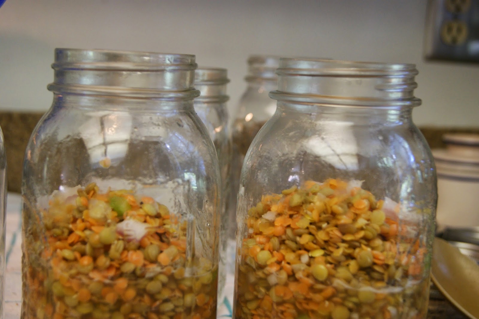 Canarella Pressure Canning Lentil Soup