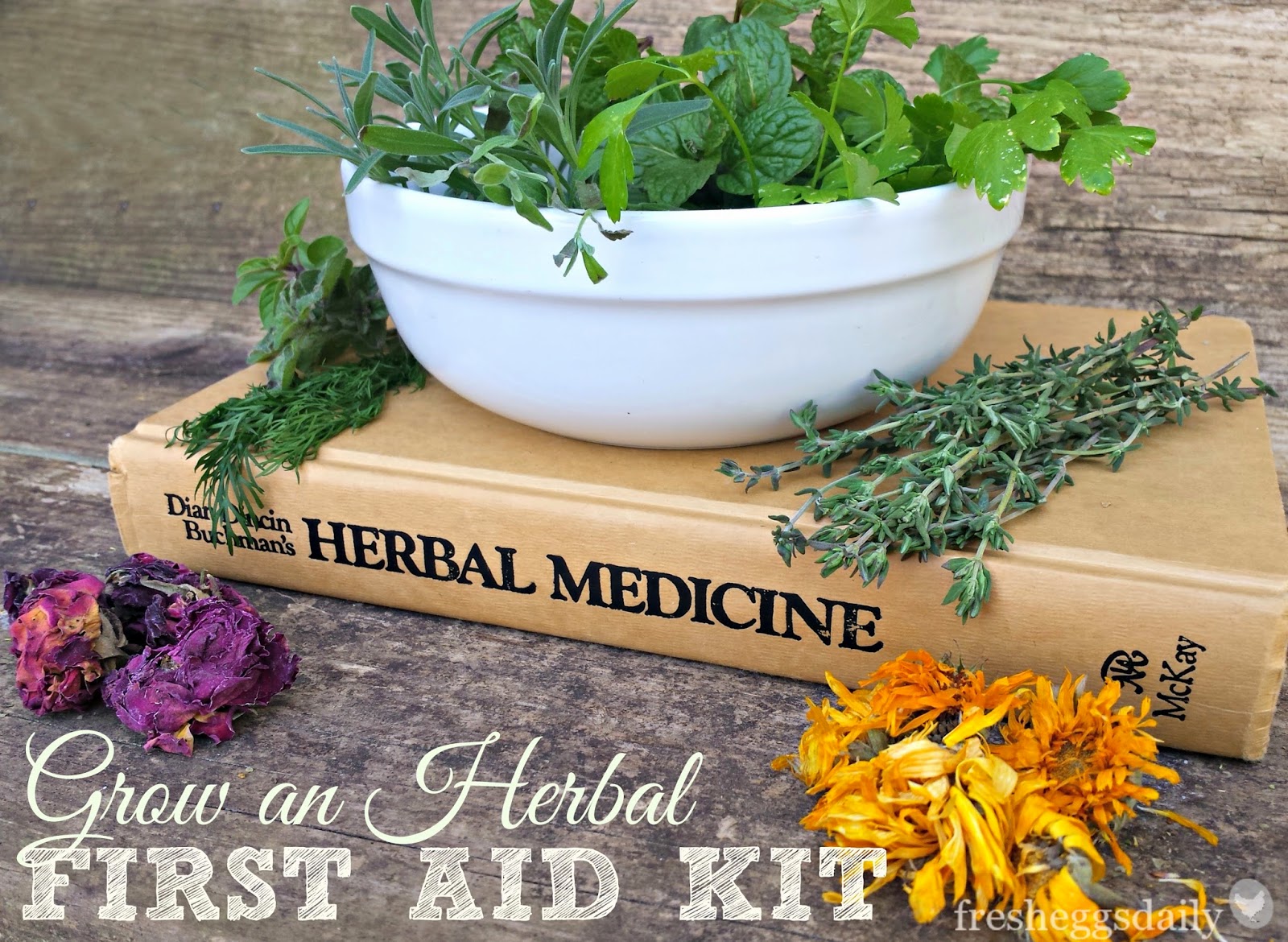 Grow an Herbal First Aid Kit for Your Chickens Fresh Eggs Daily®