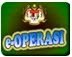 e-OPERASI