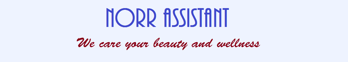 Norr Assistant