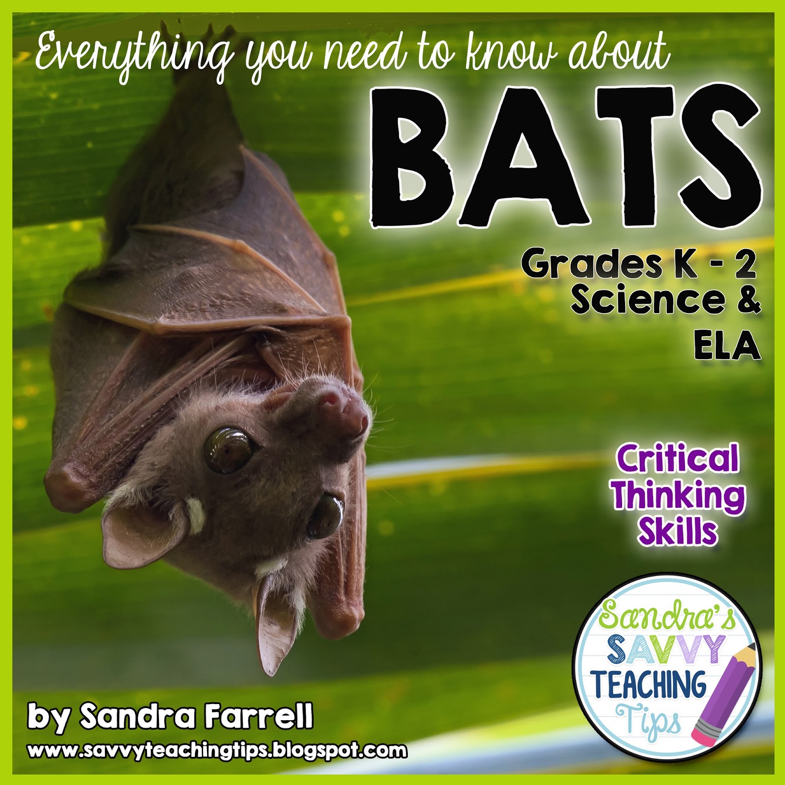 Halloween Bats - savvy teaching tips