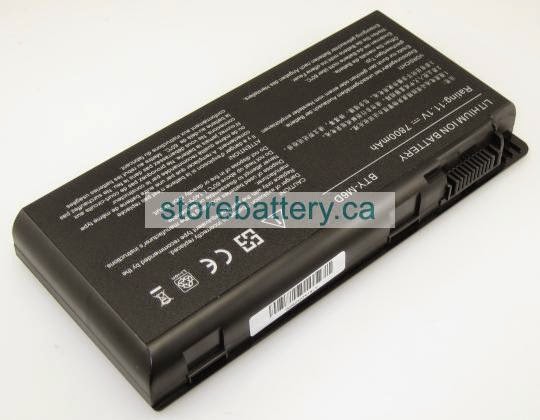 MSI BTY-M6D 9-cell laptop batteries