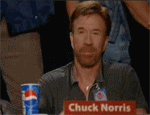 Aprovodo Pelo Chuck Norris