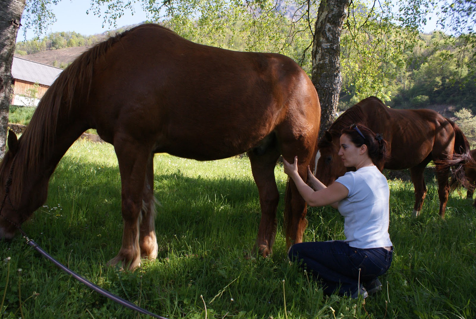 rencontre de la performance énergétique 2011