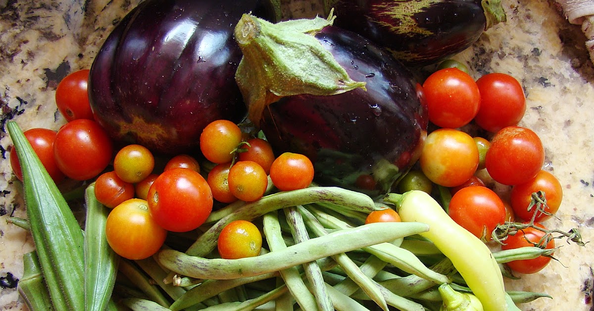 Creating Treasures: Garden Update II