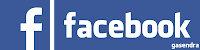 Facebook Logo Text Font and Color Used