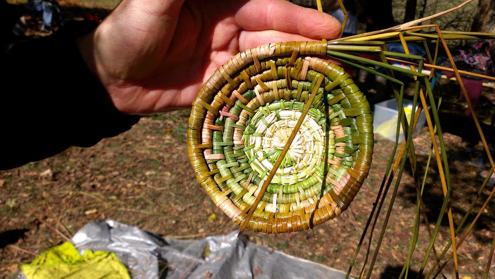 Glut a year in my patch Weaving the reeds