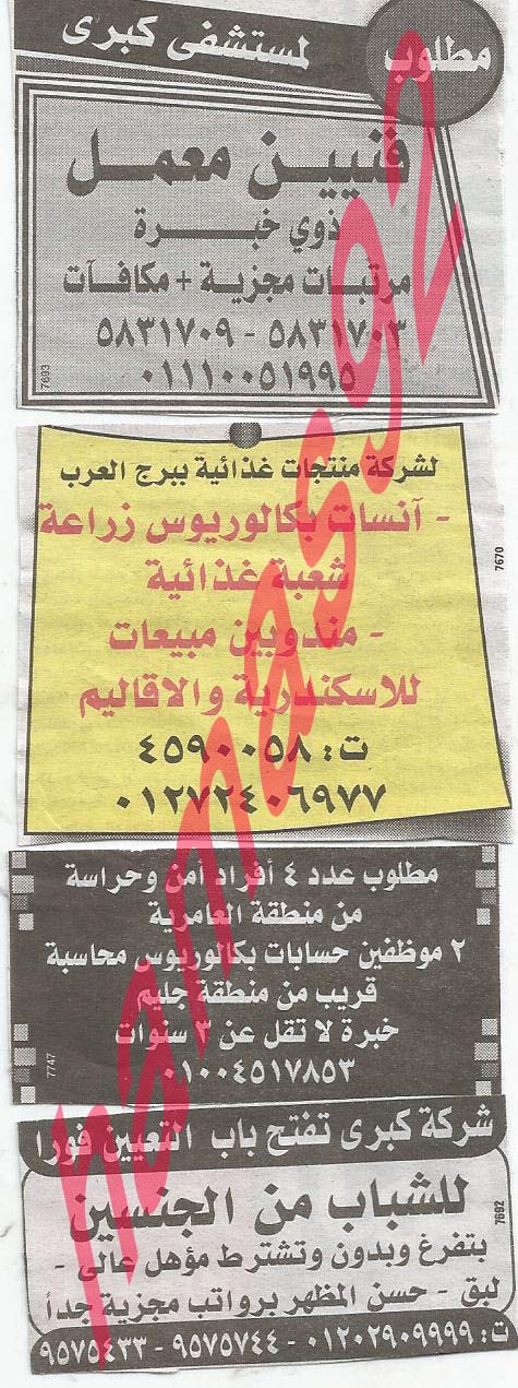 وظائف خالية فى جريدة الوسيط الاسكندرية الجمعة 06-09-2013 %D9%88+%D8%B3+%D8%B3+6