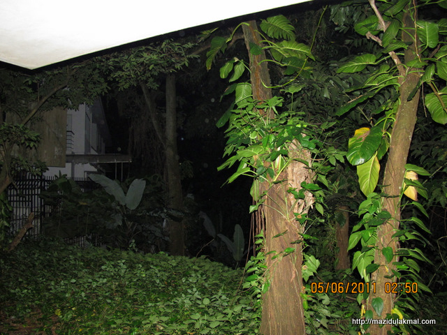 Rentak Kehidupanku Anda Diperhatikan December 2012