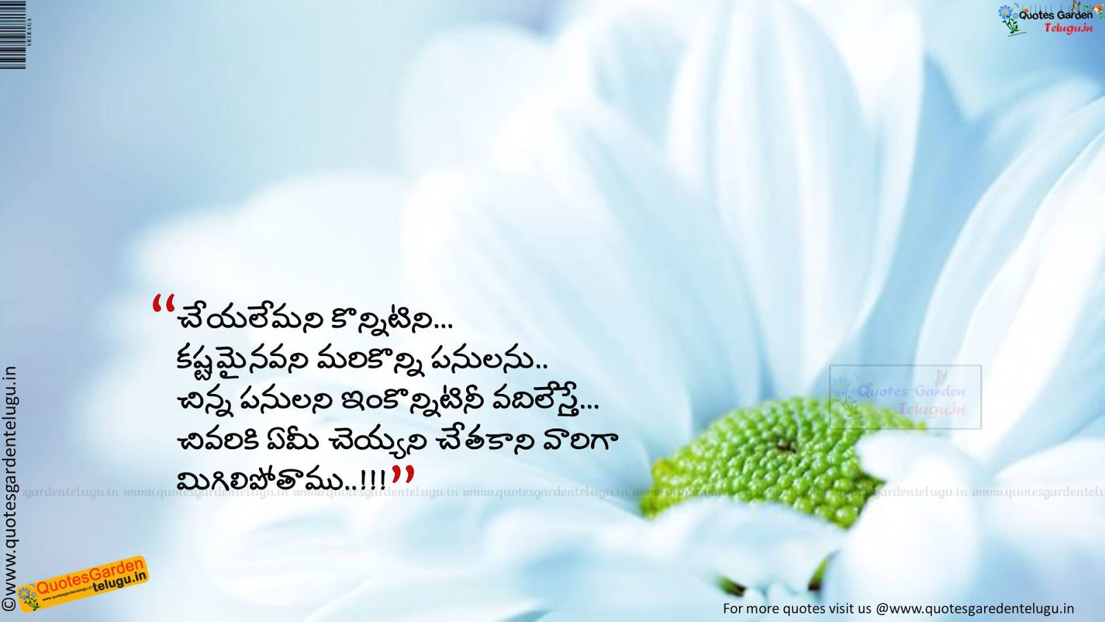 Featured image of post Bad Attitude Quotes In Telugu : 155 captions for facebook pictures of yourself.