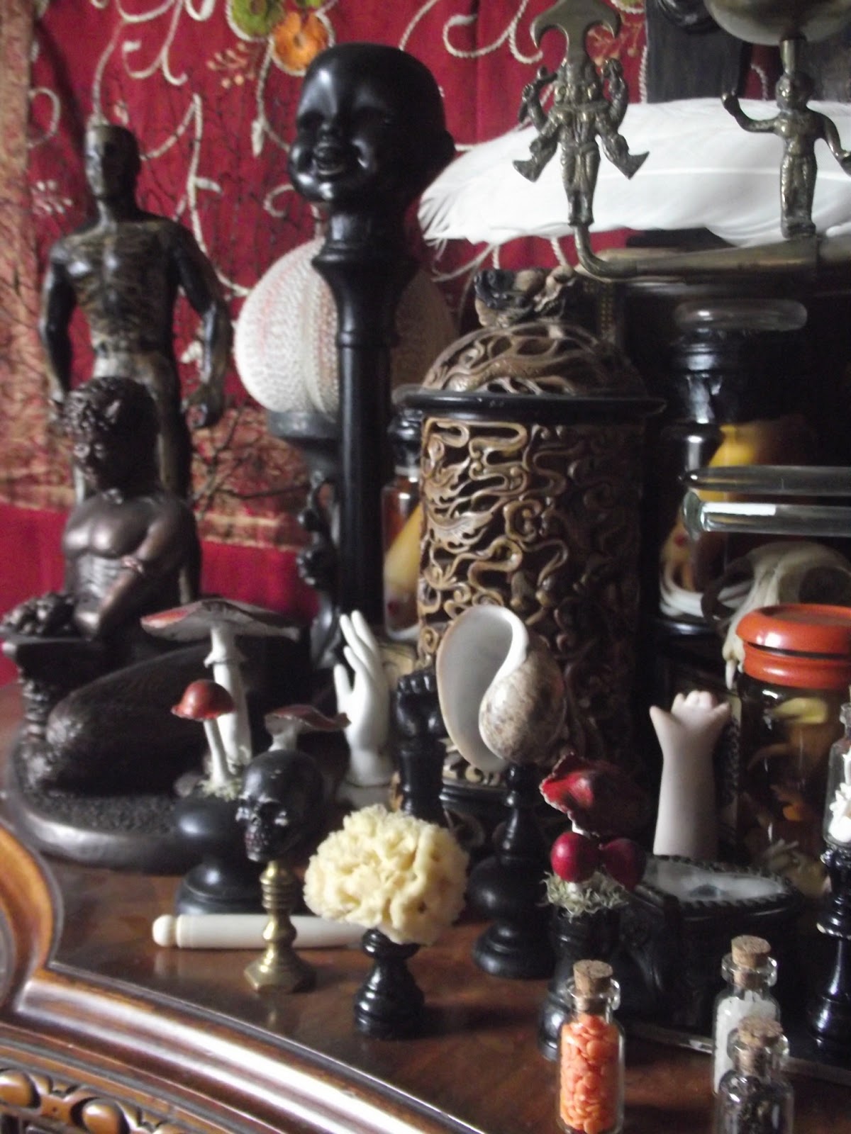 Boffins Bunker Steampunk Cornwall Laboratory Pickle Wet Specimen