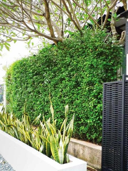 Image Result For Berbagai Model Rumah Image Result For Berbagai Model Rumah