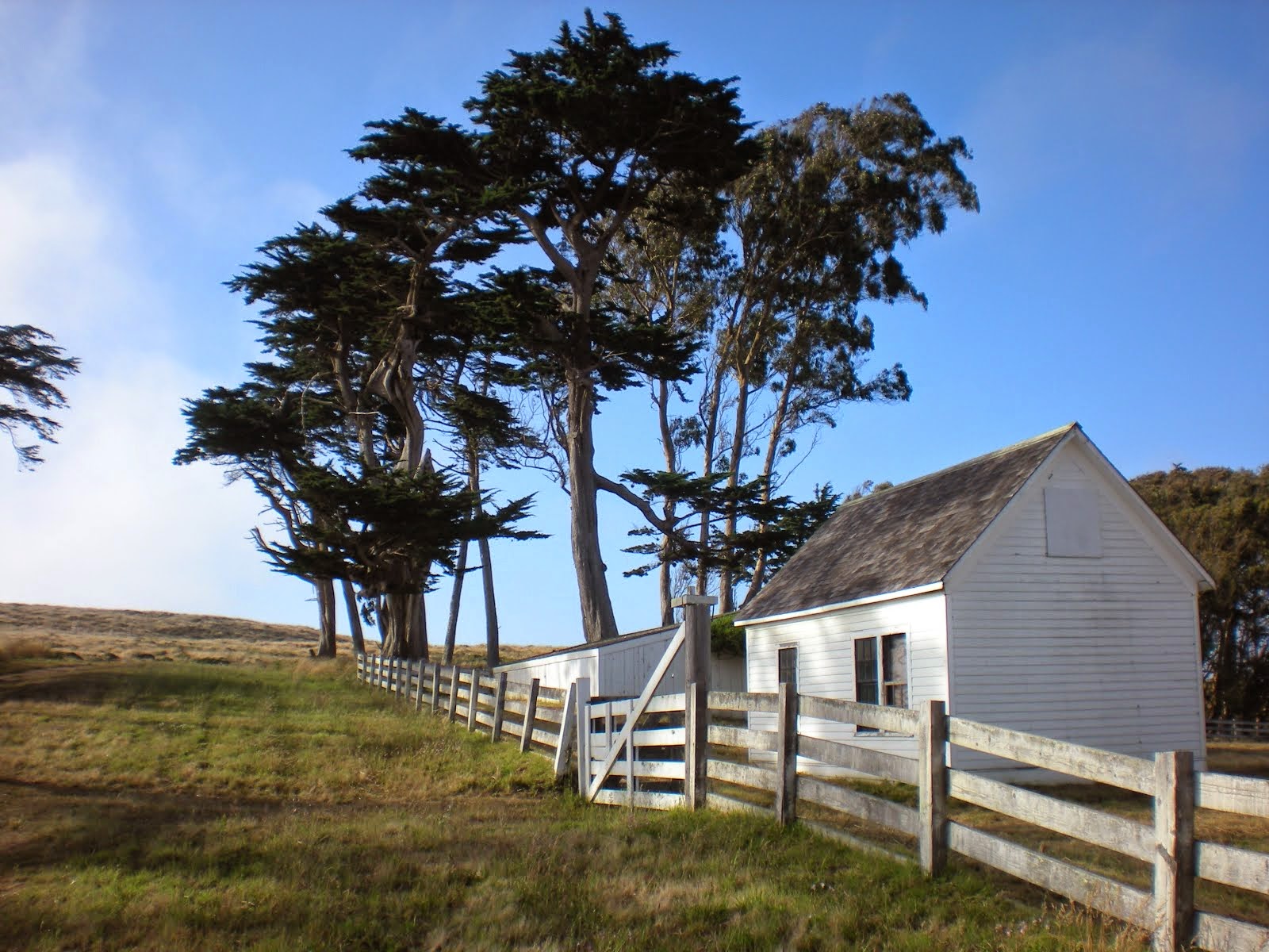 Point Reyes II