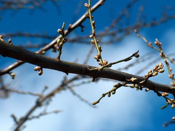 Incontri Karmici Parte Ii Canadadolcecanada