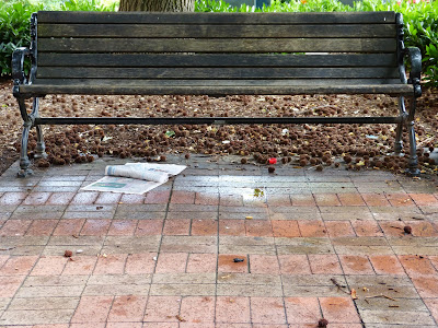 the Ripening, photo a day, bench, park bench