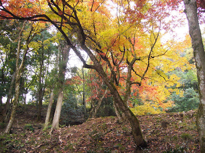 滋賀県・奥びわ湖 鶏足寺の紅葉