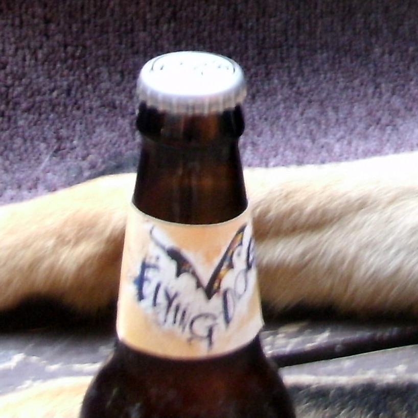 dog drinking
