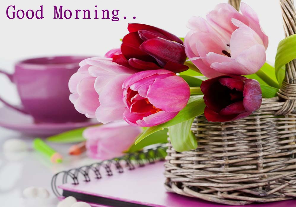 Lovely and Beautiful Good Morning Wallpapers Duul Wallpaper