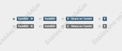 Tumblr Share Button, JavaScript, PHP, Wordpress Tutorials