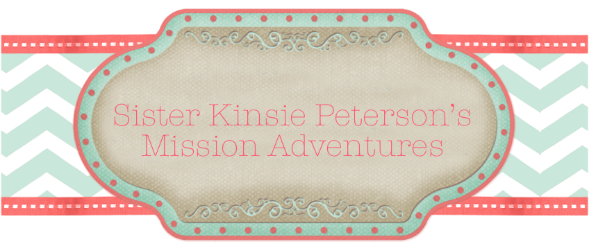 Kinsie's Mission Blog