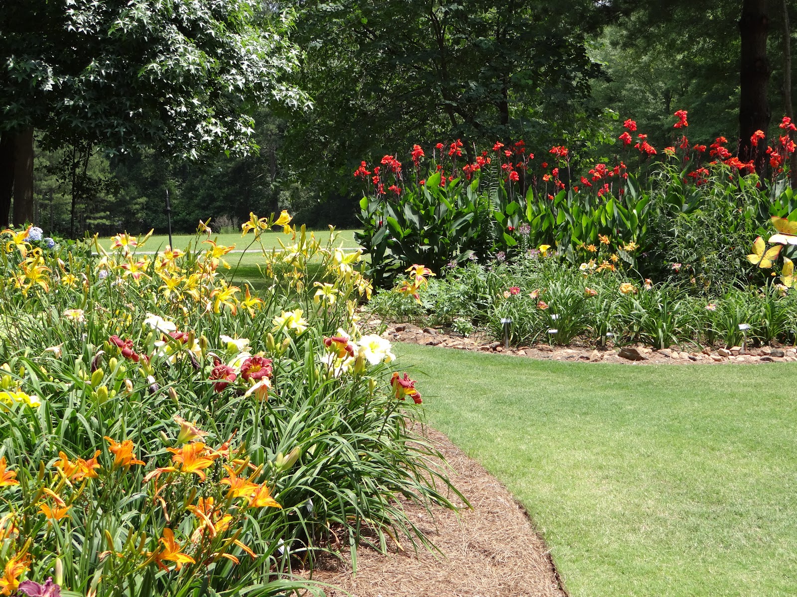 Atlanta Weekend... | Part One: Kennesaw Mountain Daylilies | a girl and