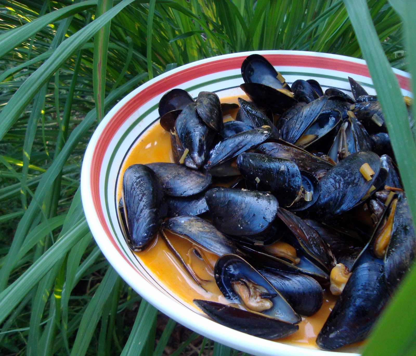 A Couple in the Kitchen Curried Mussels with Lemongrass *AwardWinning*