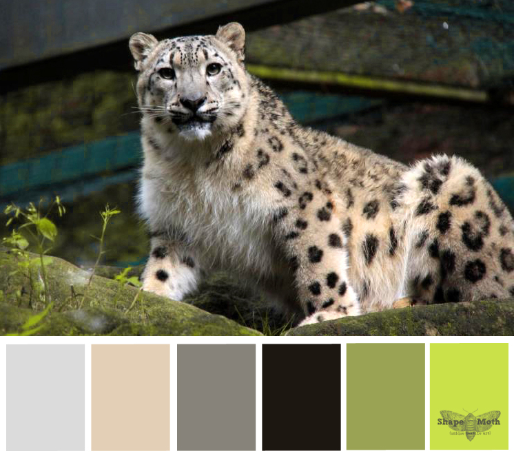 Shape Moth: October 2012