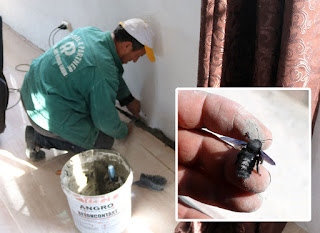 Bekir tiling, and the black insect he put out Bekir tiling, and the black insect he put out