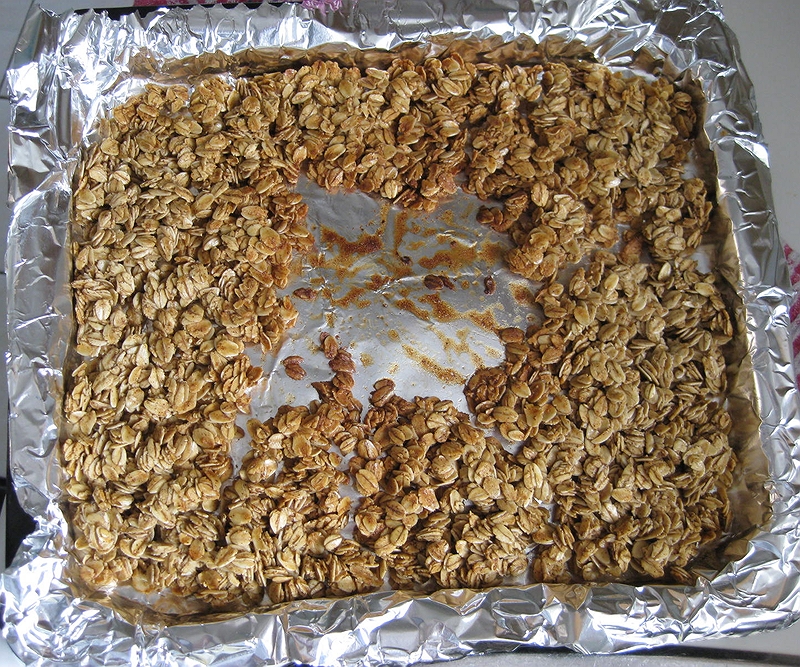 My Handmade Home Toaster Oven Challenge Clumpy Granola Recipe + the