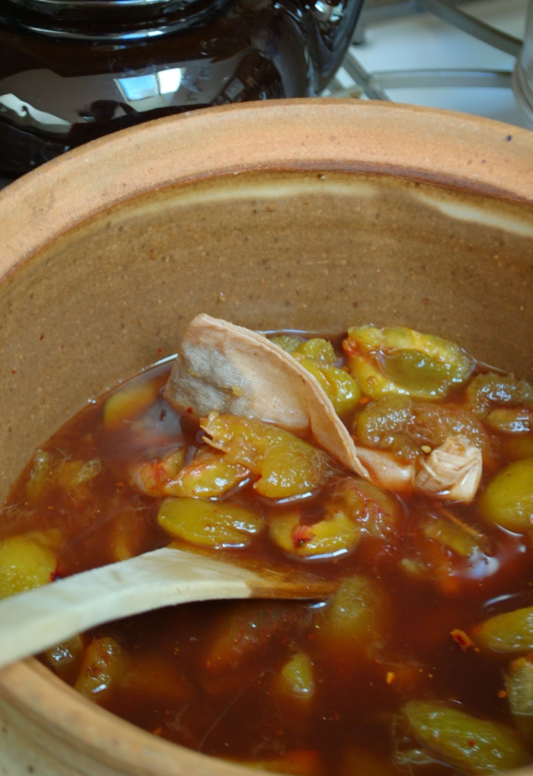 The Spice Garden Tangy Chinese Plum Sauce