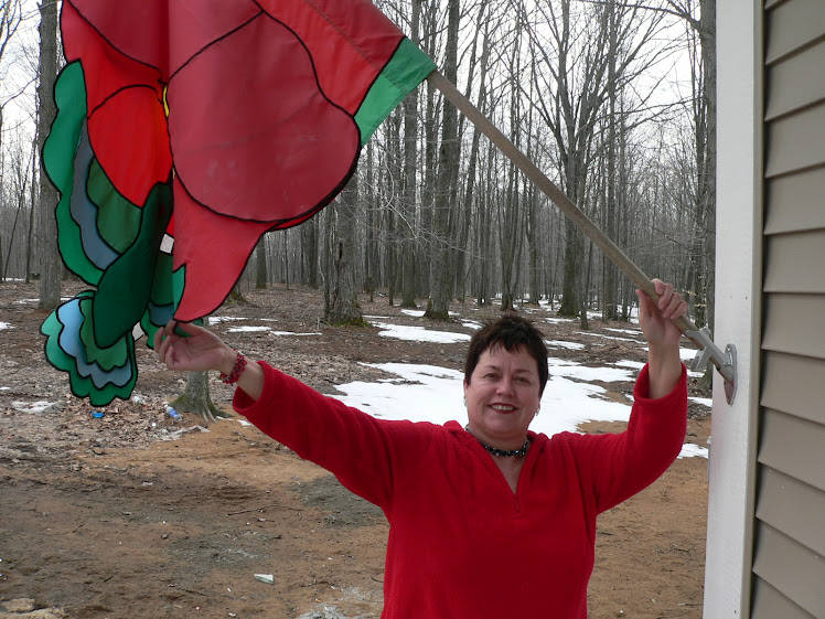 March 31 The flag pole and first flag