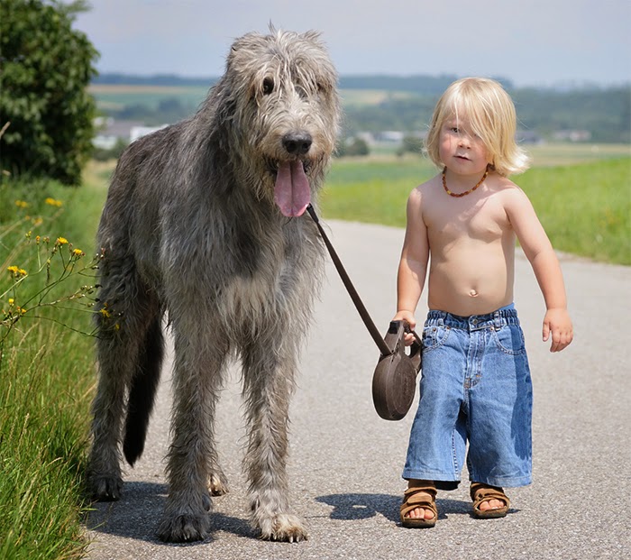 22 Little Kids And Their Big Dogs 22 Little Kids And Their Big Dogs