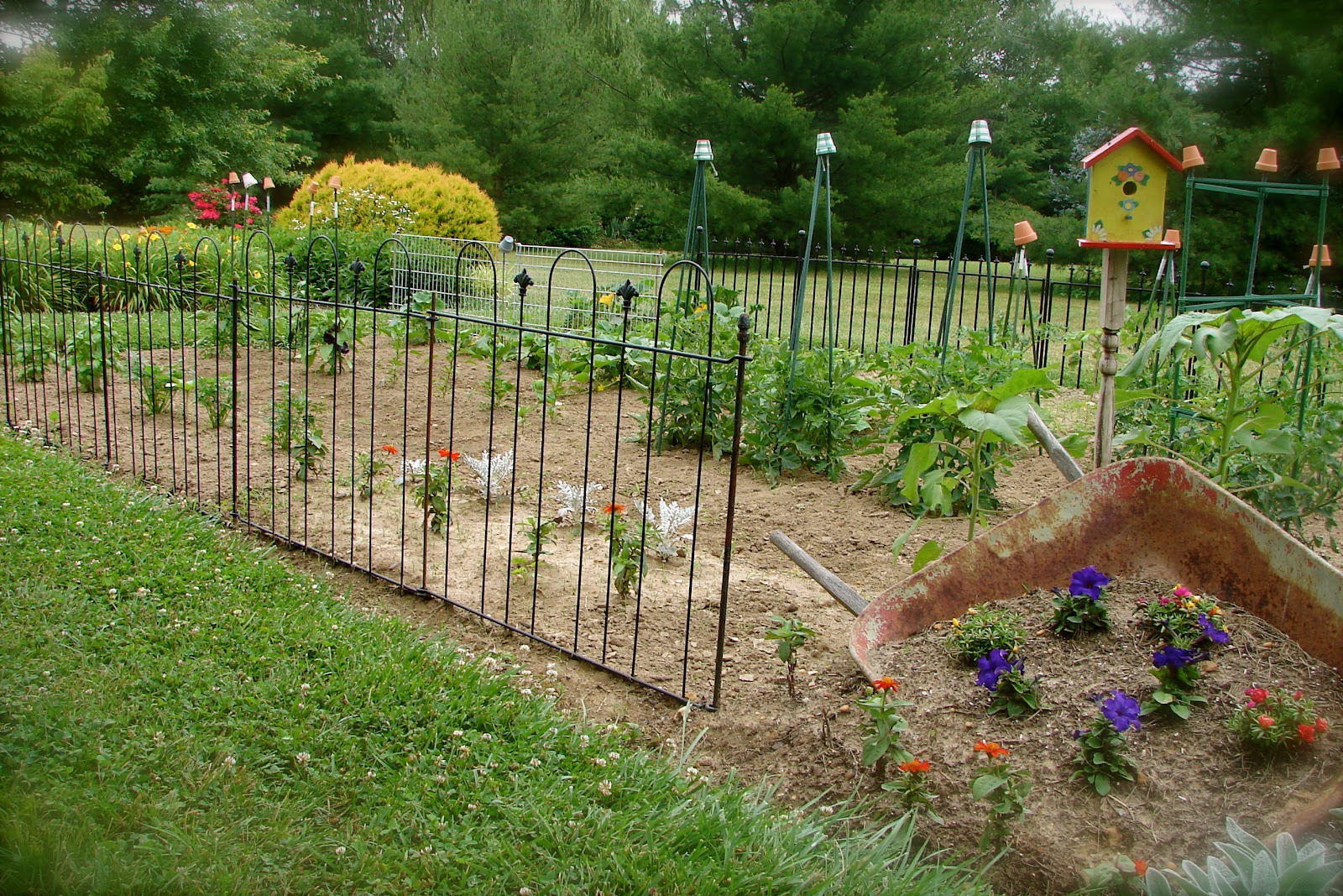 Garden Fencing Ideas To Keep Dogs Out Photograph | temporary