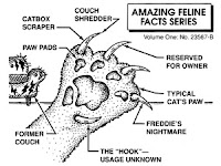 Cat Diagram Cat Diagram