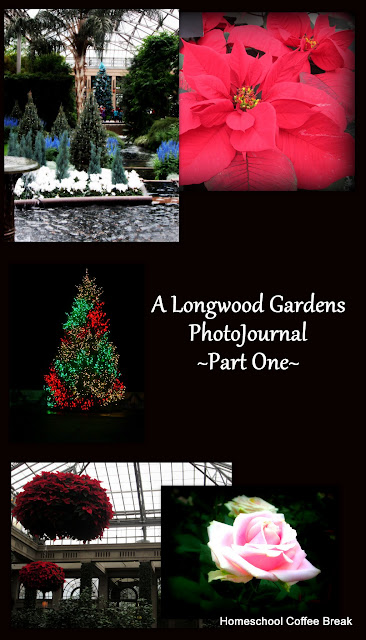 A Longwood Gardens PhotoJournal, Part One on Homeschool Coffee Break @ kympossibleblog.blogspot.com