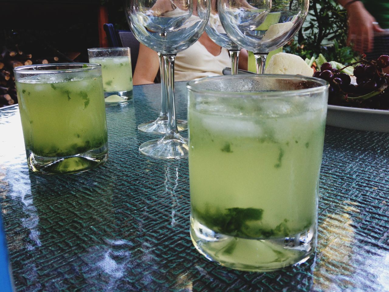 Drink of the Month Grapefruit Basil Gin Fizz The Things We Would Blog