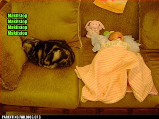howling baby in swaddling clothes on sofa, lol cat cannot escape