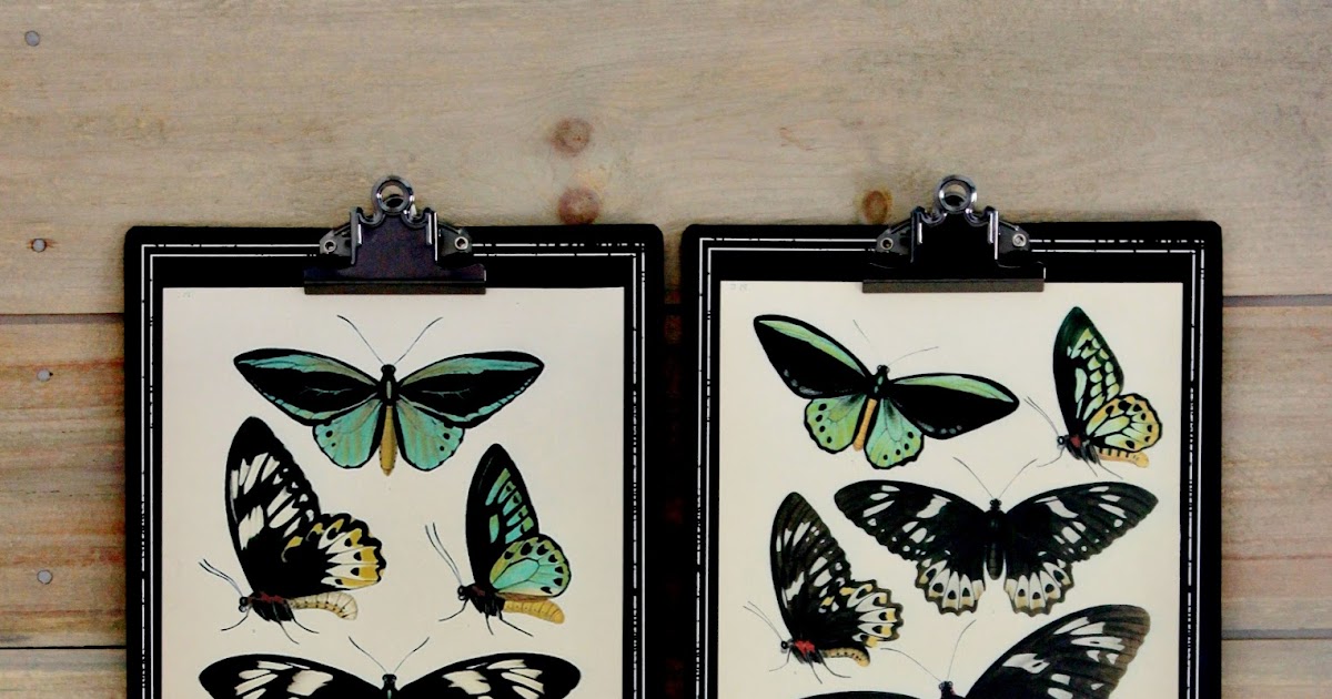 Where to Find Free & Inexpensive Vintage Images for Low Cost Wall Art